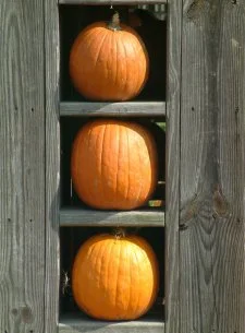 A Jack-O-Lantern Worth Eating
